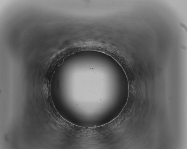 X0000096491493200801311606