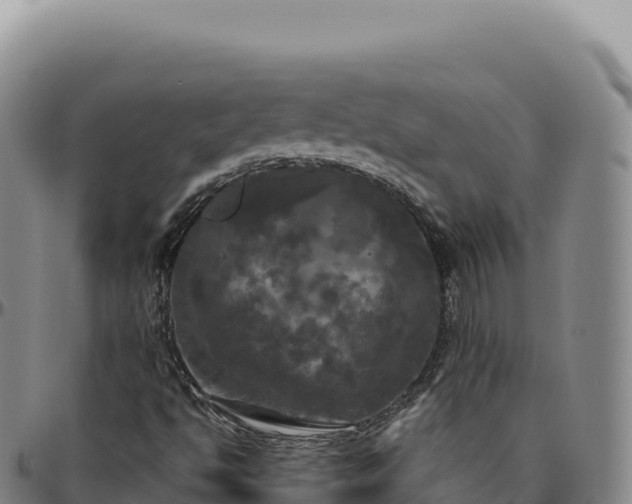 X0000096491494200801311606