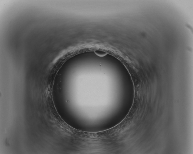 X0000096491495200801311606