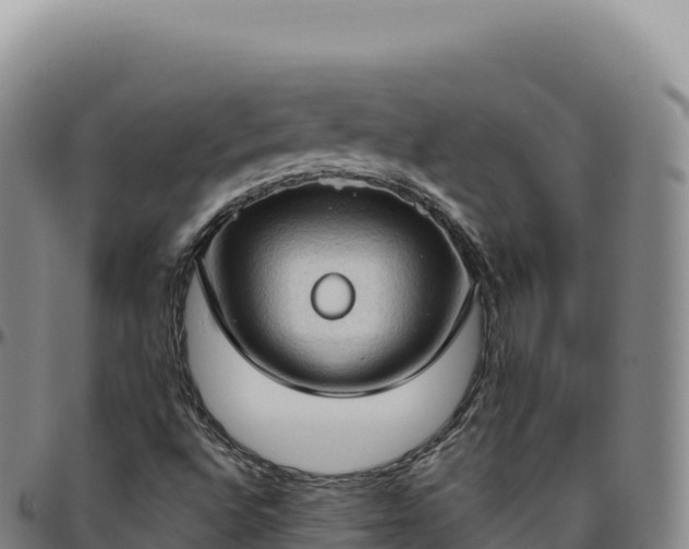 X0000096491496200801311606