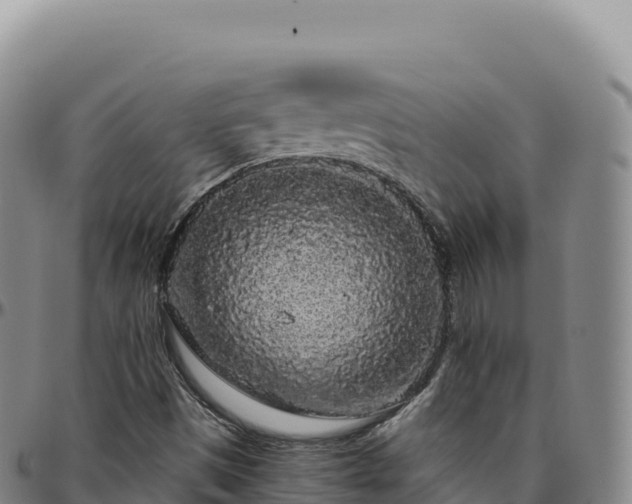 X0000096491497200801311606