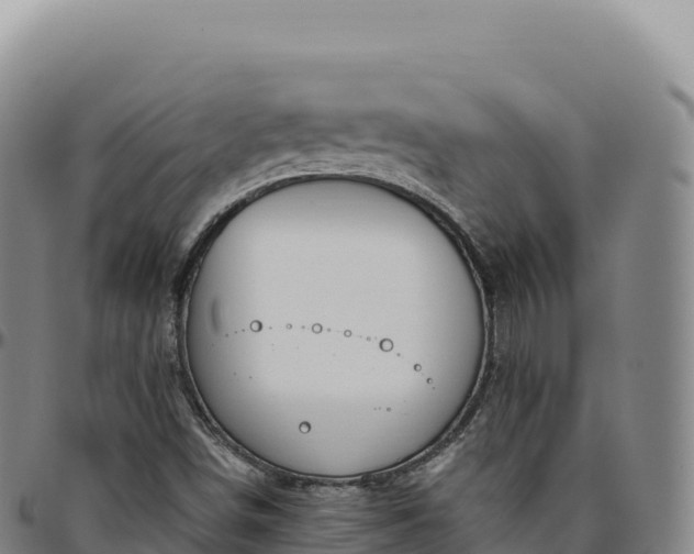 X0000096491498200801311606