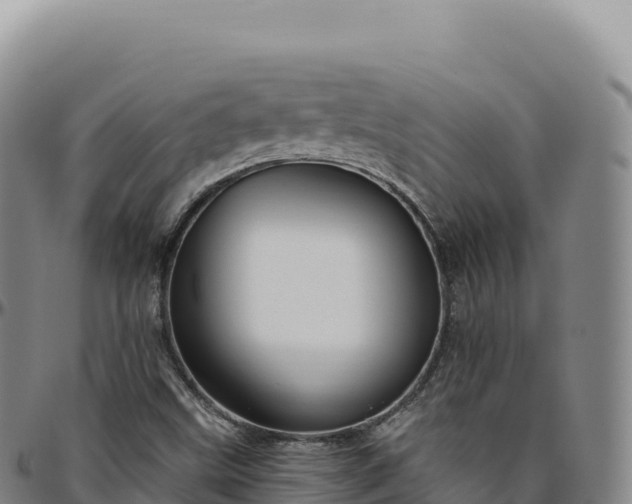 X0000096491499200801311606