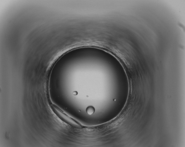 X0000096491500200801311606