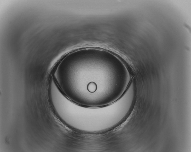 X0000096491502200801311606