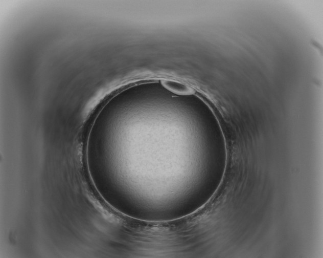 X0000096491503200801311606