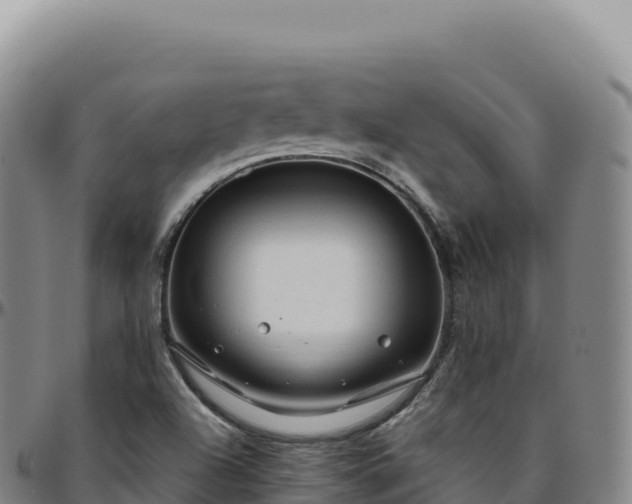 X0000096491504200801311607