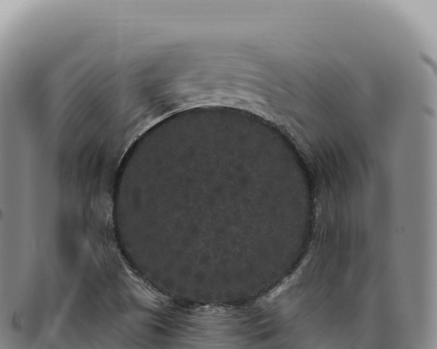 X0000096491505200801311607