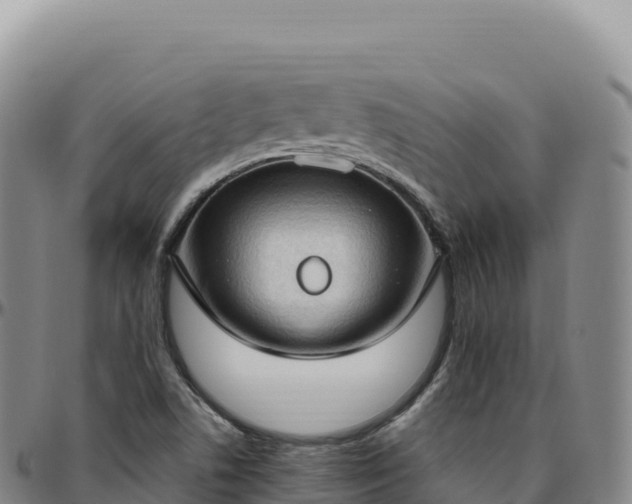 X0000096491506200801311607