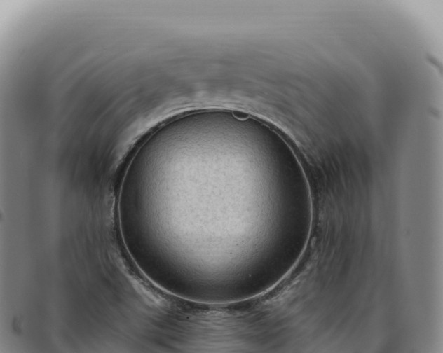 X0000096491507200801311607