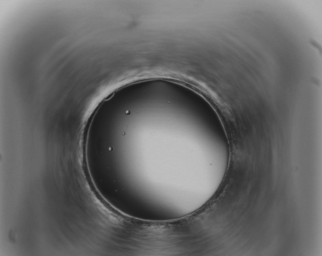 X0000096491512200801311607