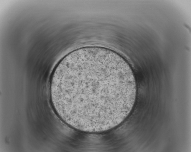 X0000096491514200801311607