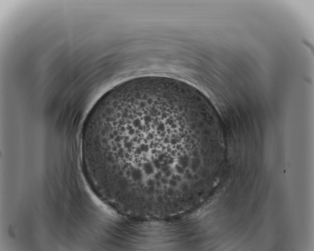 X0000096491515200801311607