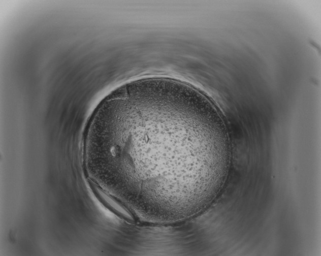 X0000096491519200801311607