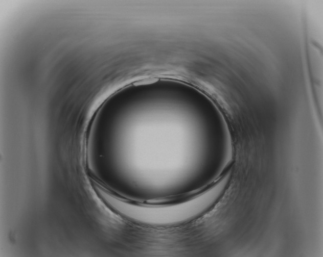 X0000096491520200801311607