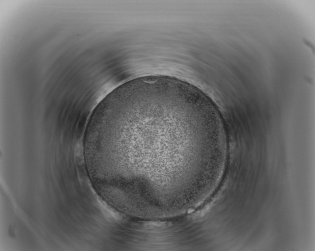 X0000096491521200801311607