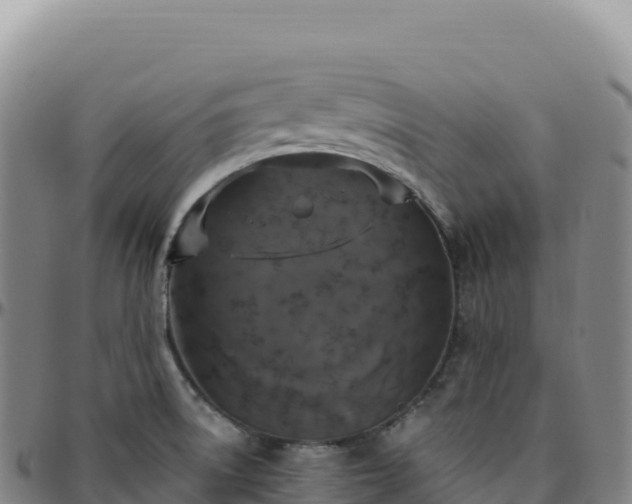 X0000096491522200801311607