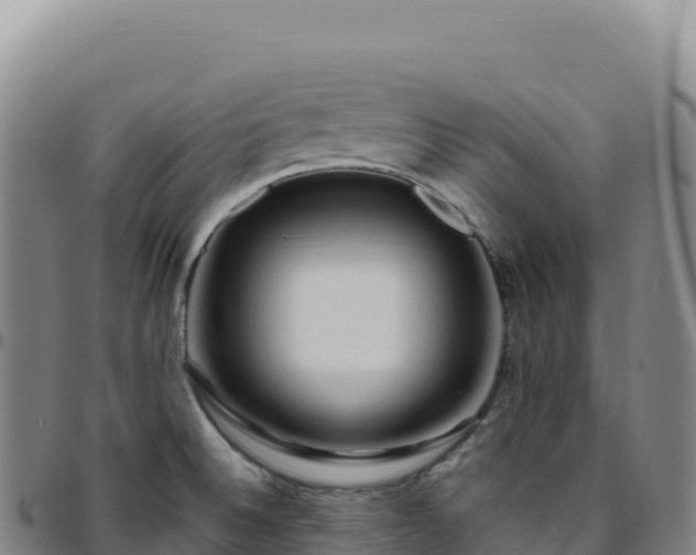 X0000096491524200801311607