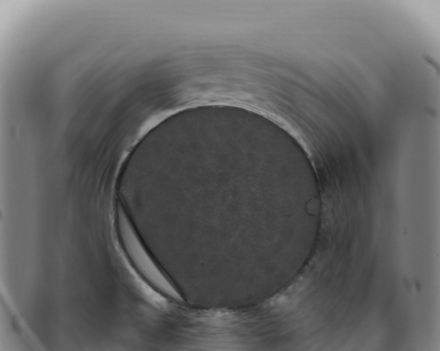 X0000096491525200801311607