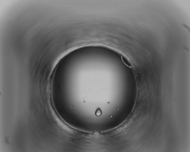 X0000096491526200801311607