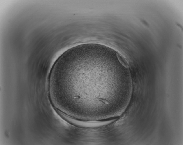 X0000096491527200801311607