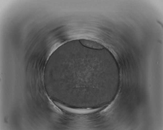 X0000096491529200801311607