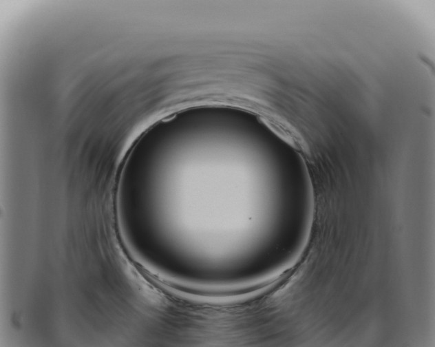 X0000096491530200801311607