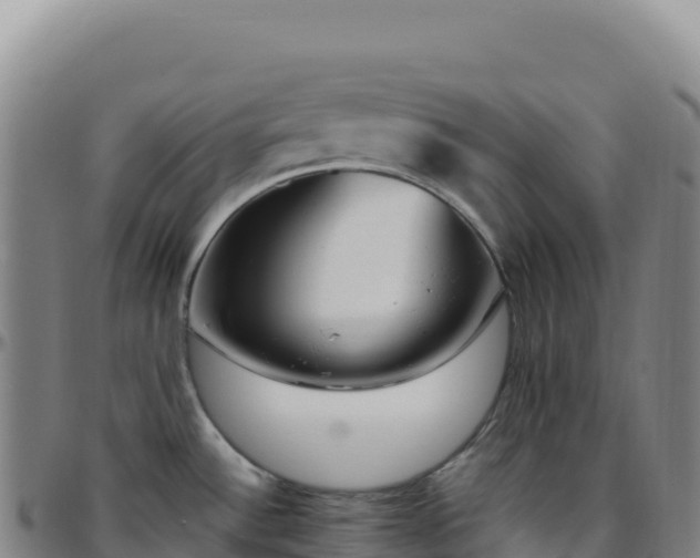 X0000096491532200801311607