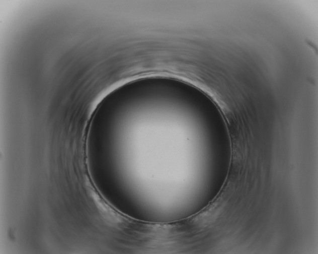 X0000096491534200801311607