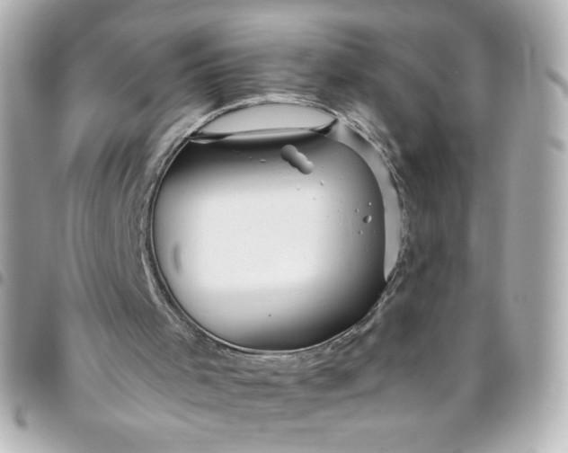 X0000096490001200802071953