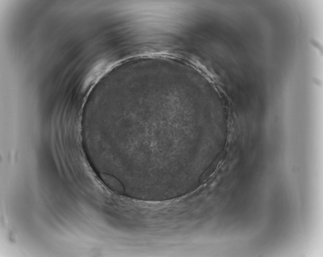 X0000096490002200802071953