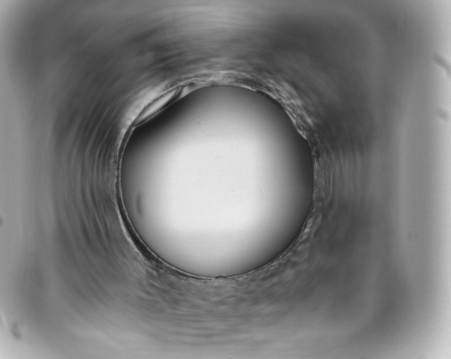 X0000096490003200802071953