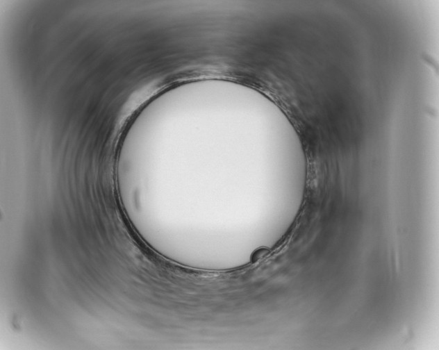 X0000096490004200802071953