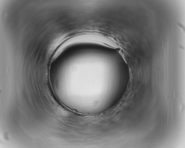 X0000096490005200802071953