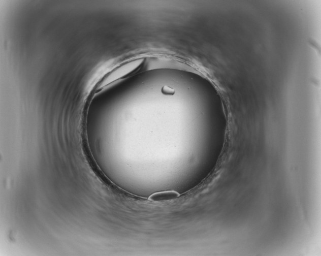 X0000096490007200802071953