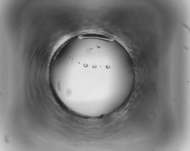 X0000096490008200802071953