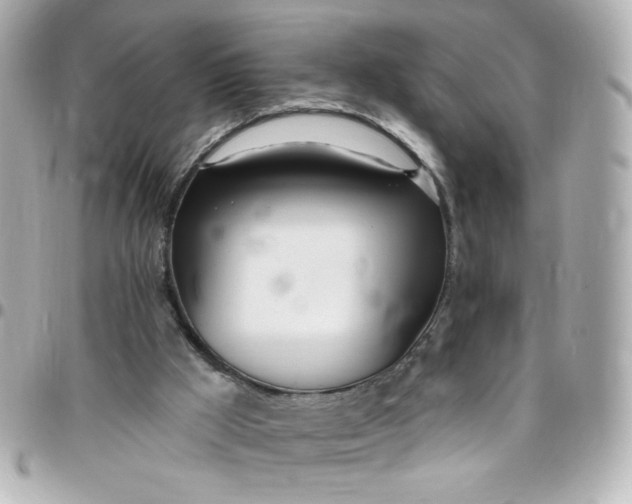 X0000096490009200802071953