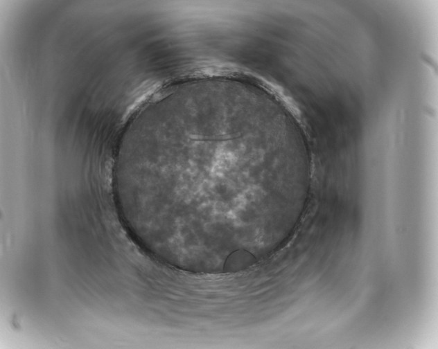 X0000096490010200802071953