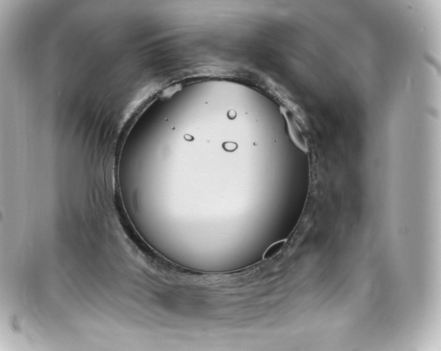 X0000096490011200802071953