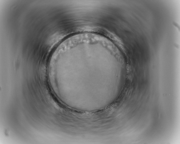 X0000096490012200802071953