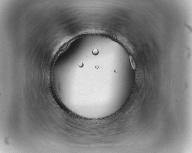 X0000096490015200802071953