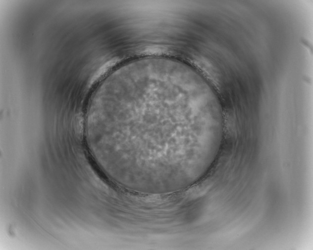 X0000096490016200802071953