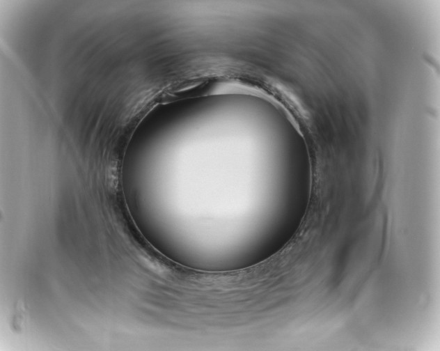 X0000096490017200802071953