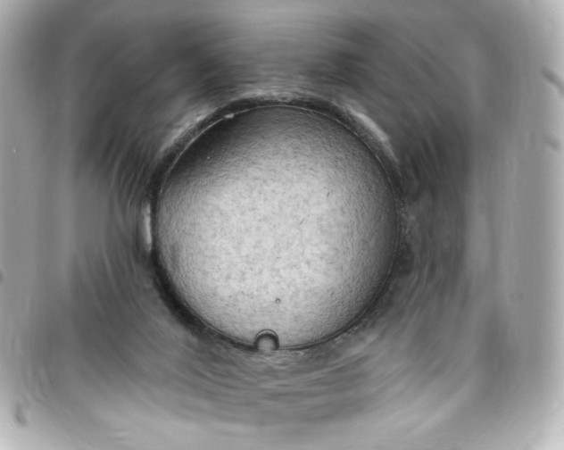 X0000096490020200802071953