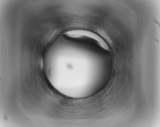 X0000096490021200802071953