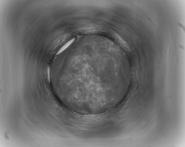 X0000096490022200802071953