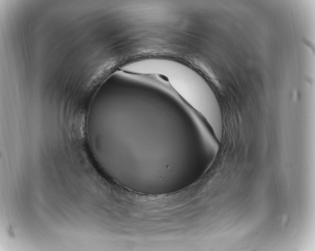 X0000096490023200802071953