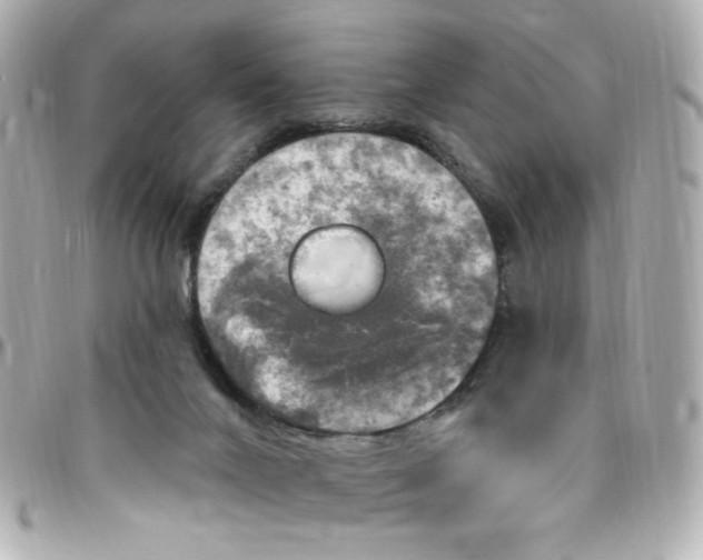 X0000096490024200802071953