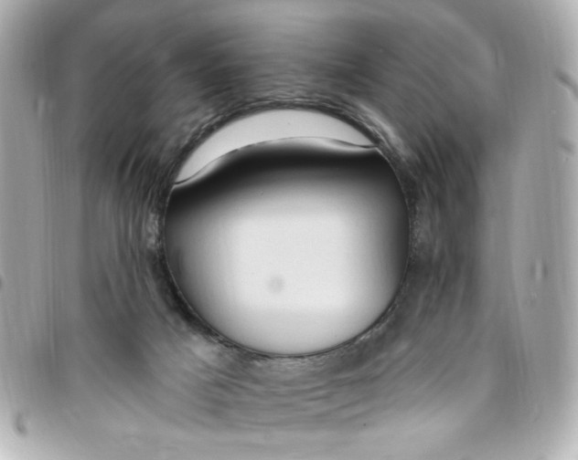 X0000096490025200802071953