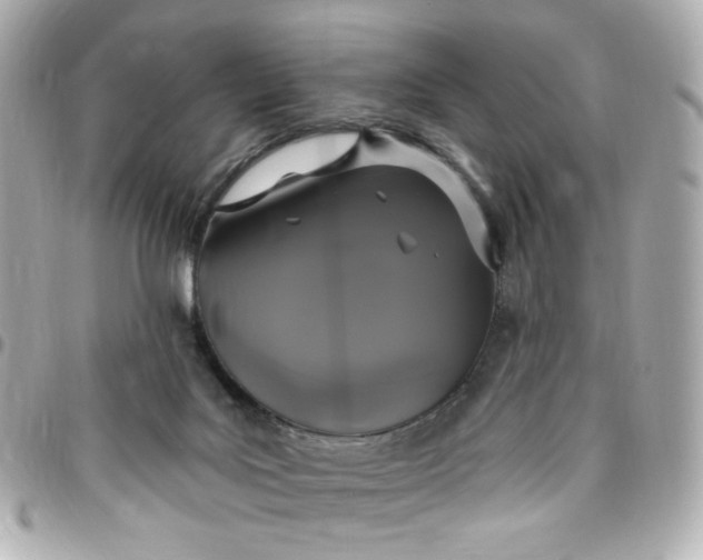 X0000096490027200802071953